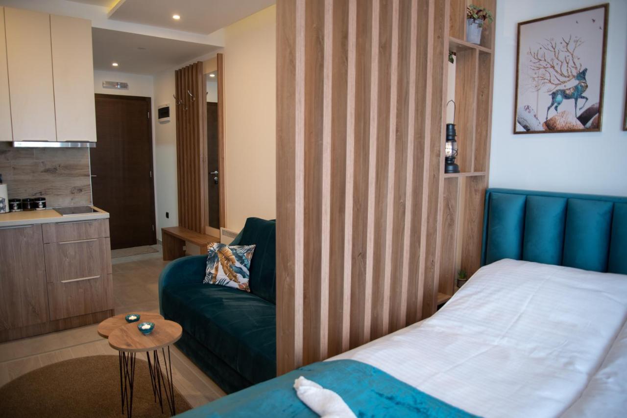Apartman Larisa Копаоник Экстерьер фото